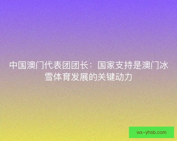 中国澳门代表团团长：国家支持是澳门冰雪体育发展的关键动力